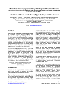 Morphological and Topographical Study of the Degree of Angulation