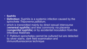 secondary syphilis