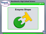Enzyme Shape