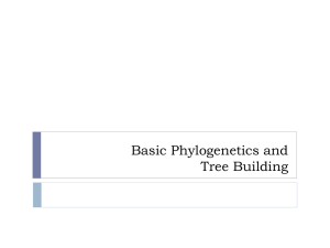 Basic Phylogenetics and Tree Building