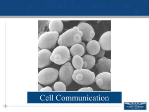 NMSI - Cell Signaling - Madison County Schools