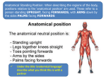 Unit 2 Anatomical language and positions 1.36