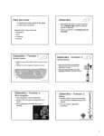 Plant hormones: Gibberellins Gibberellins – Function 1: Gibberellins