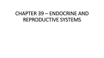 chapter 39 * endocrine and reproductive systems - McGann