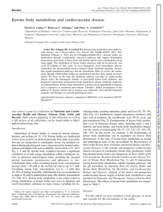 Ketone body metabolism and cardiovascular disease - AJP