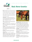 Basic Horse Genetics - Alabama Cooperative Extension System