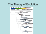 The Theory of Evolution