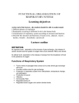 FUNCTIONAL ORGANIZATION OF RESPIRATORY SYSTEM