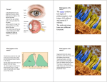 The retina contains two types of photoreceptors, rods (about 120