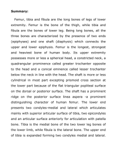 Summary: Femur, tibia and fibula are the long bones of legs of lower