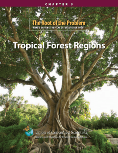 Tropical Forest Regions - Union of Concerned Scientists