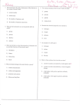 Extra Extra Periodic Table Practice with attached answer key