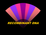 RECOMBINANT DNA