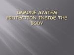 Immune system protection inside the body