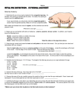 Pig Dissection - Milton