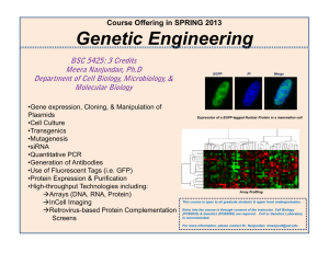 Genetic Engineering - USF :: Biological Sciences