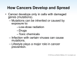 Lung Cancer (continued)