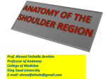 10-Anatomy of Shoulder region