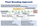 Marker-assisted backcross breeding