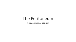 The Peritoneum