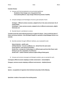 Evolution Review Answer Key