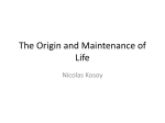 The Origin and Maintenance of Life