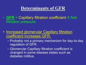 Determinants of GFR - BHS116.3 Physiology III