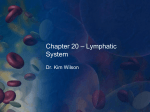 Overview of the Lymphatic System