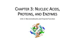 Chapter 3: Nucleic Acids, Proteins, and Enzymes