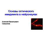 A laser for two photon microscopy