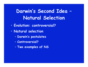 Darwin`s Second Idea – Natural Selection