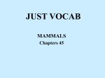 Mammal Vocab