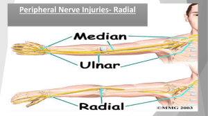 Peripheral Injuries