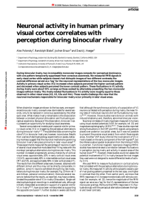 Neuronal activity in human primary visual cortex correlates with