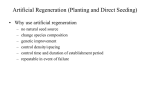 Artificial Regeneration