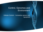 Control, Genomes and Environment