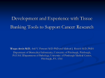 Development and Experience with Tissue Banking Tools to Support