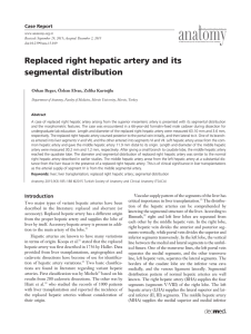 Replaced right hepatic artery and its segmental distribution