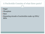 A Nucleotide Consists of what three parts?