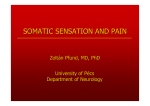 Somatic sensation and pain