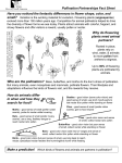 Microsoft Power Point - Flora of North America