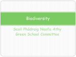 Biodiversity - Scoil Phadraig Naofa