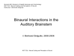Neural Mechanisms for Binaural Interactions in the Superior Olivary