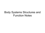 Body Systems Structure and Function Quiz Answers