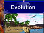 Evolution