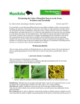 Predators and Parasites of Crop Feeding Insects