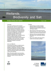 Microsoft Word - Wetland birds and salinity net.doc