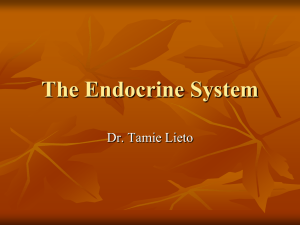 The Endocrine System - Immaculateheartacademy.org