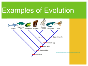 Evidence of Evolution