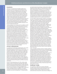 TMJ Biomechanics and Structure of the Mandibular Condyle